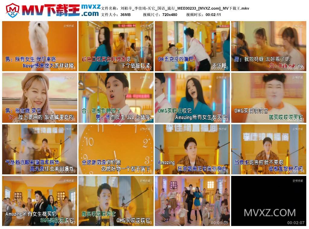刘柏辛_李佳琦-买它_国语_流行_MEE00233
